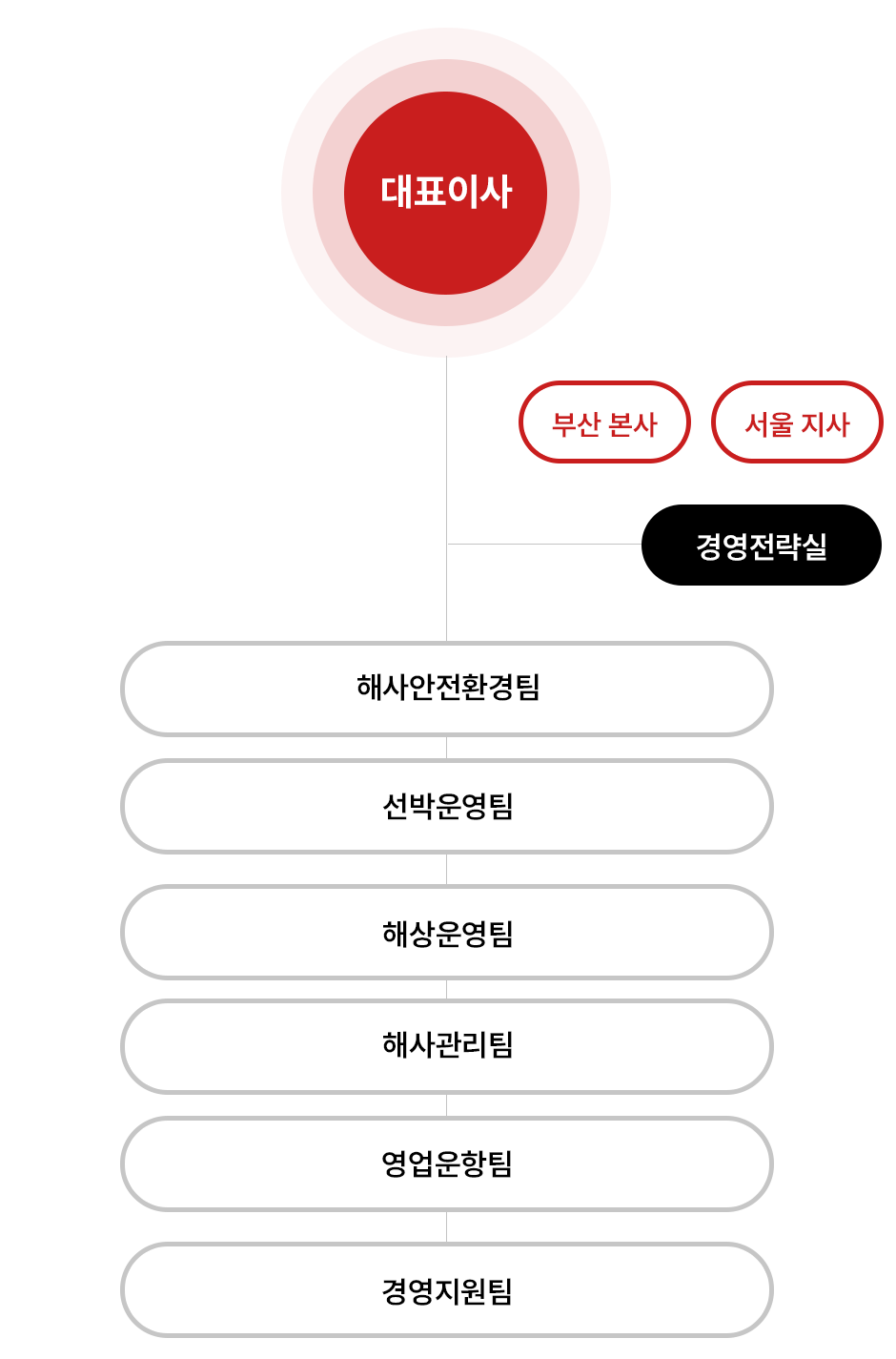 대표이사를 중심으로 경영전략실, 해사안전환경팀, 선박운영팀, 해상운영팀, 해사관리팀, 영업운항팀, 경영지원팀으로 구성된 조직도 